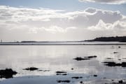 Ryde