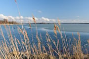 Vaasa