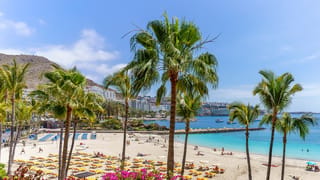 discover-warmest-canary-island-visit-february