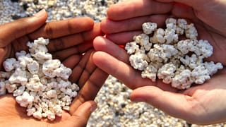 exploring-fuerteventura-s-popcorn-beach-natural-marvel