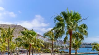 gran-canaria-vs-tenerife-canary-island-suits-dream-vacation