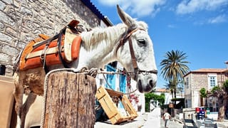 top-5-beautiful-saronic-islands-visit-greece